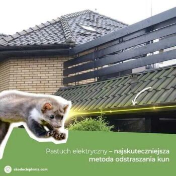 Pastuch na kuny z montażem w całej Polsce (GWARANCJA)