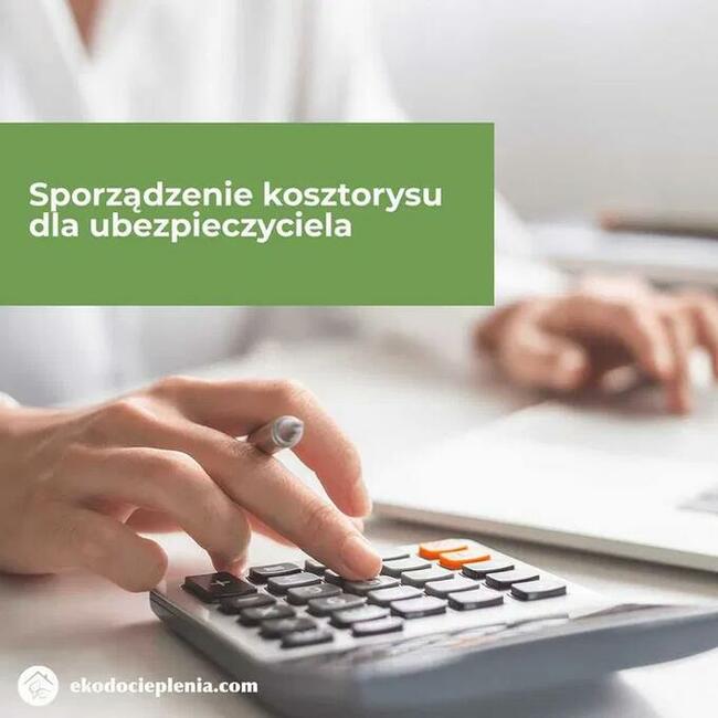 Ubezpieczenie domu i naprawa dachu po kunie – Kiedy działa?